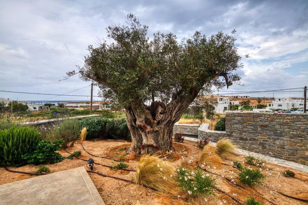 Grand Villa Reve Naoussa Exterior foto