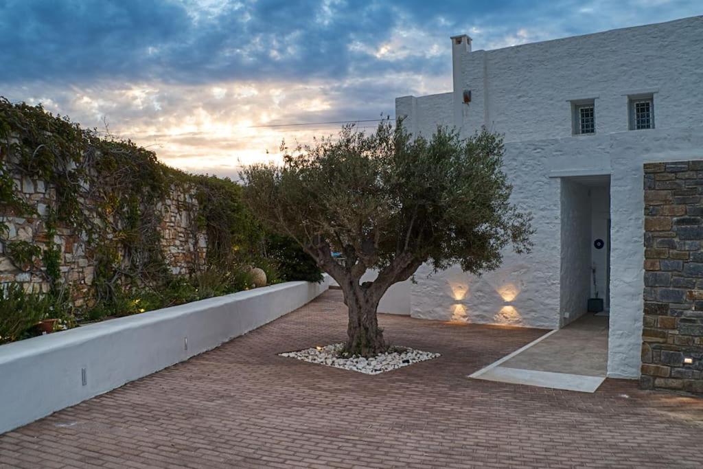 Grand Villa Reve Naoussa Exterior foto